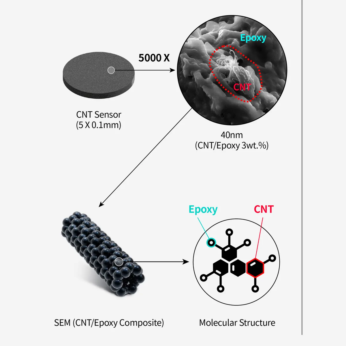 CNT sensor cross-section and SEM structure